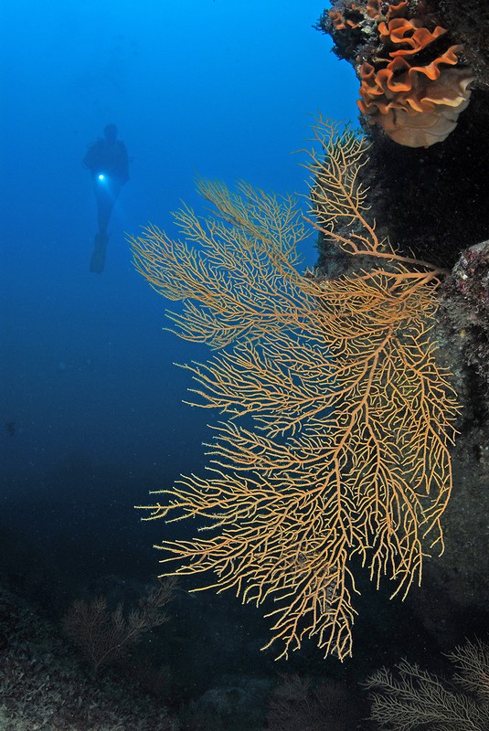 Carlos Haro, "arrasa" en el NAVFSUB 2013